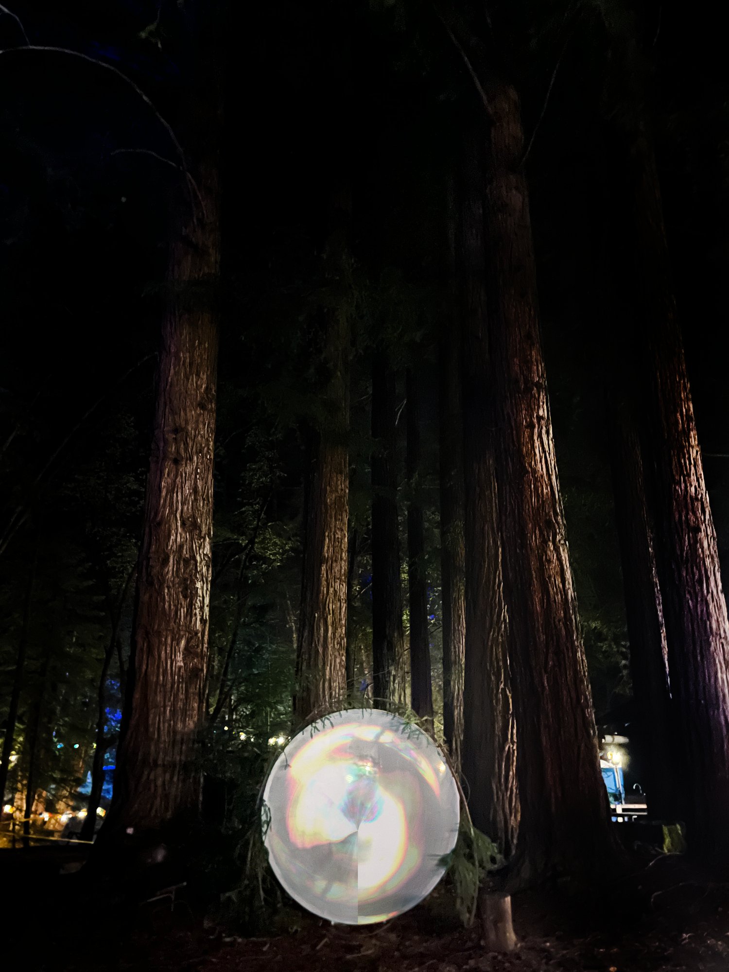 Everywhen 2026 — portal projected on screen between redwoods